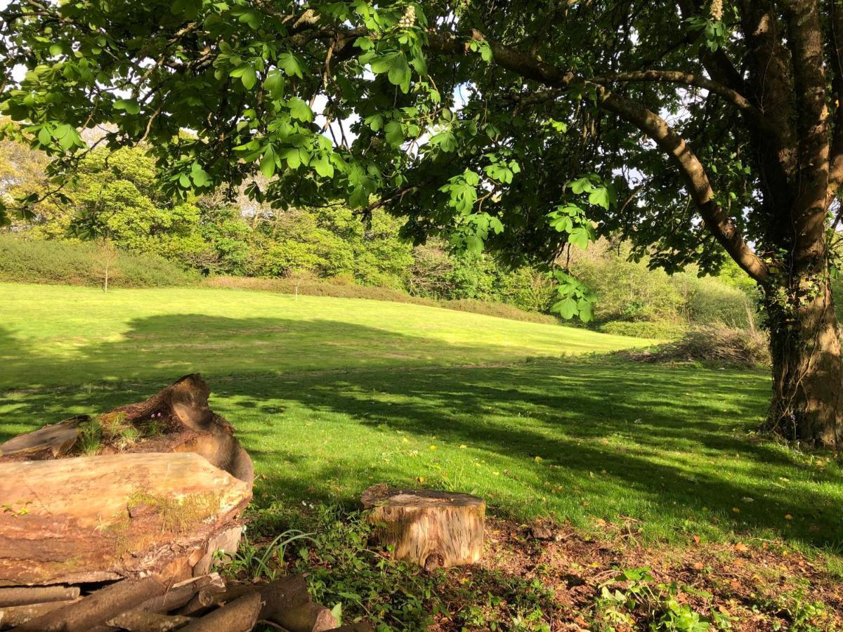 Red River Stables - Peaceful, Beautiful Grounds, Swimming Pool, Central Location For West Cornwall Camborne Kültér fotó