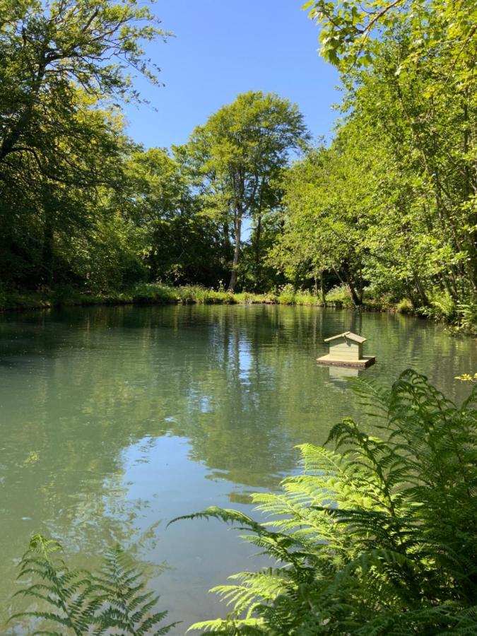Red River Stables - Peaceful, Beautiful Grounds, Swimming Pool, Central Location For West Cornwall Camborne Kültér fotó