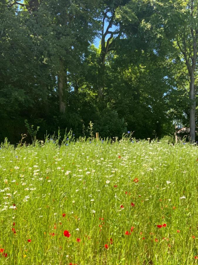 Red River Stables - Peaceful, Beautiful Grounds, Swimming Pool, Central Location For West Cornwall Camborne Kültér fotó