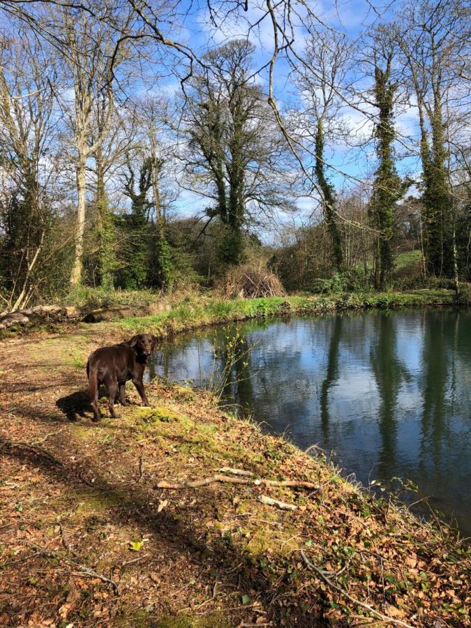 Red River Stables - Peaceful, Beautiful Grounds, Swimming Pool, Central Location For West Cornwall Camborne Kültér fotó