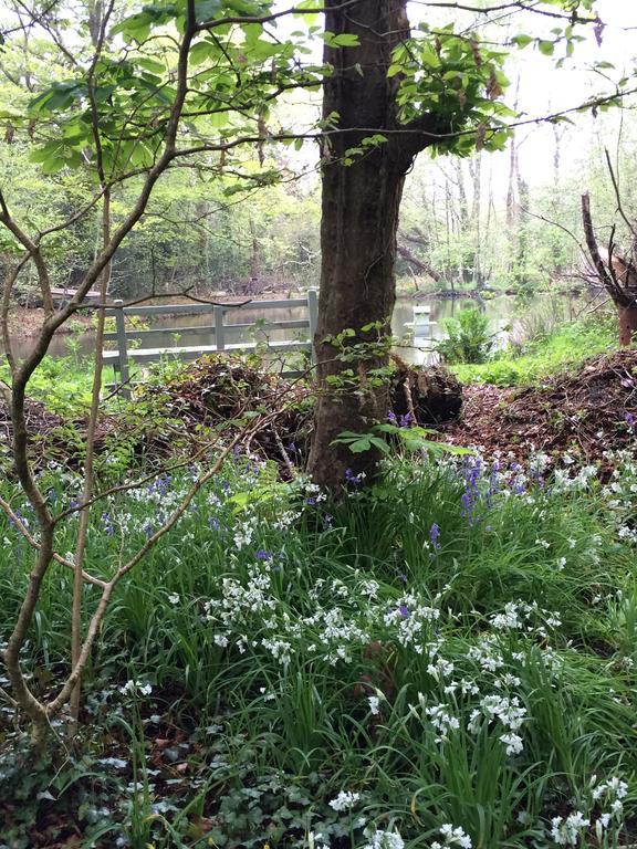 Red River Stables - Peaceful, Beautiful Grounds, Swimming Pool, Central Location For West Cornwall Camborne Kültér fotó