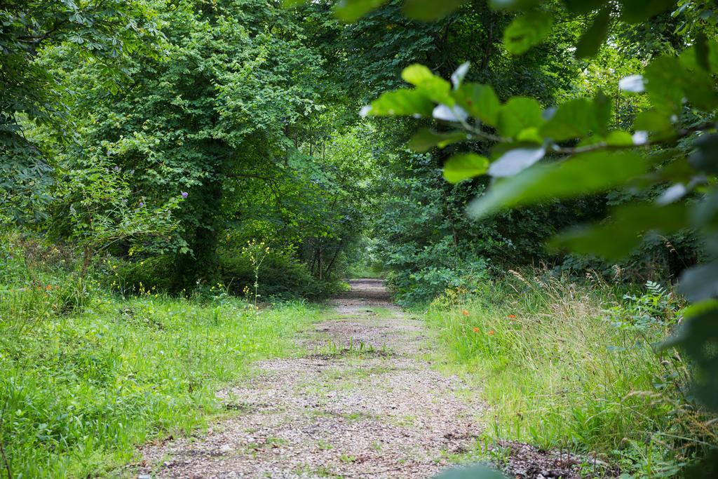 Red River Stables - Peaceful, Beautiful Grounds, Swimming Pool, Central Location For West Cornwall Camborne Kültér fotó